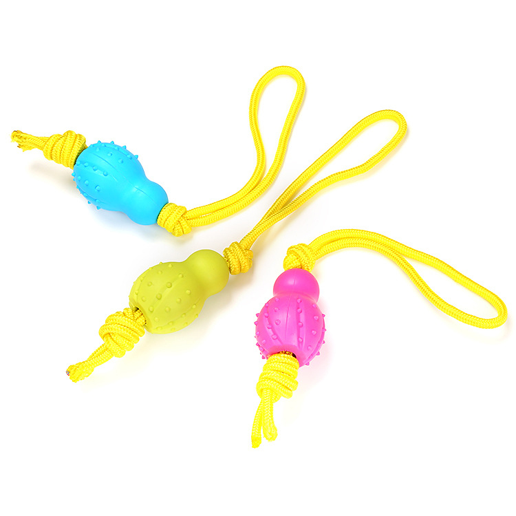 Popular Design Interactive TPR Toy With Rope Bone Pet Supplies Dog Playing Toy for Pull and Chewing