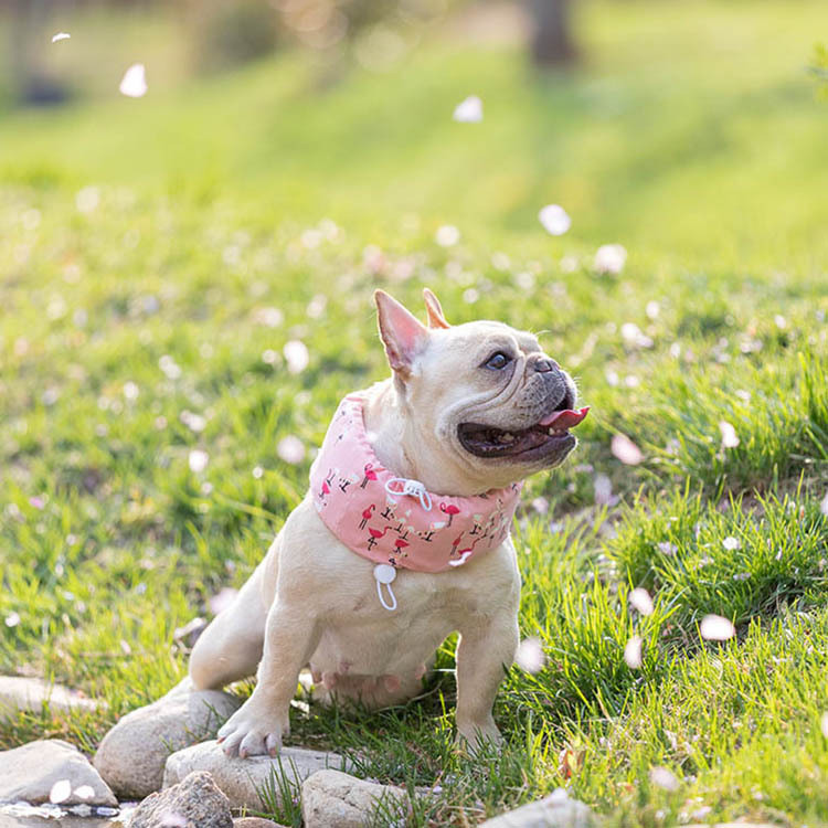 Prevent Heatstroke Pets Dogs Cats Summer Cooling Ice Breathable Bandana Scarf Collar