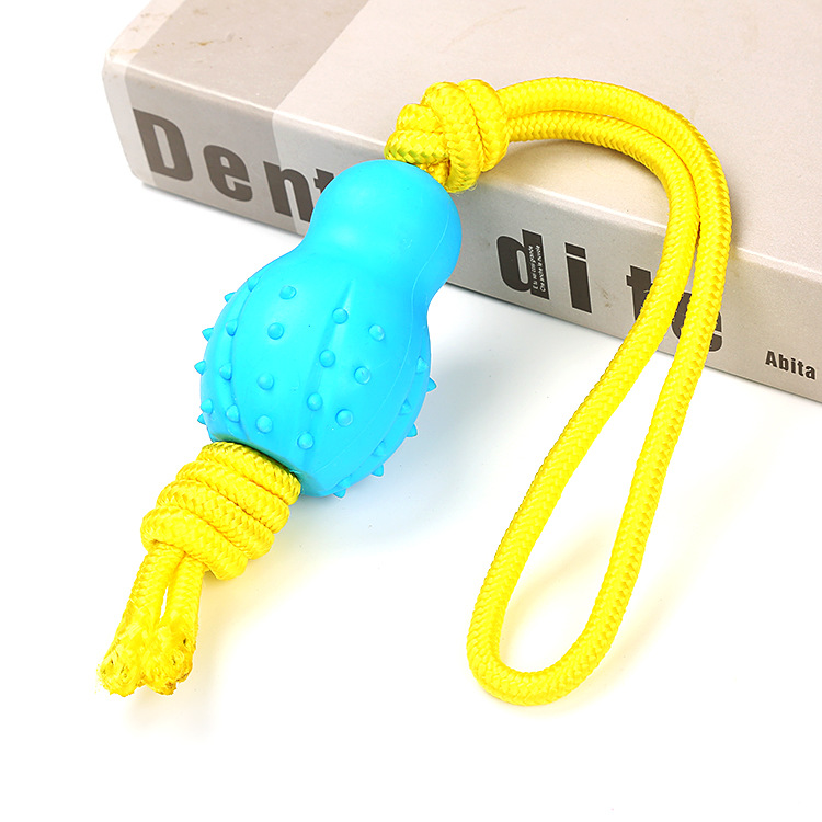 Popular Design Interactive TPR Toy With Rope Bone Pet Supplies Dog Playing Toy for Pull and Chewing