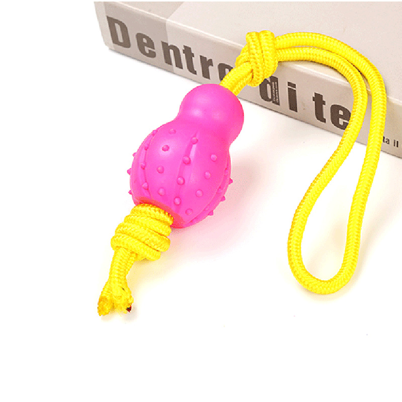 Popular Design Interactive TPR Toy With Rope Bone Pet Supplies Dog Playing Toy for Pull and Chewing